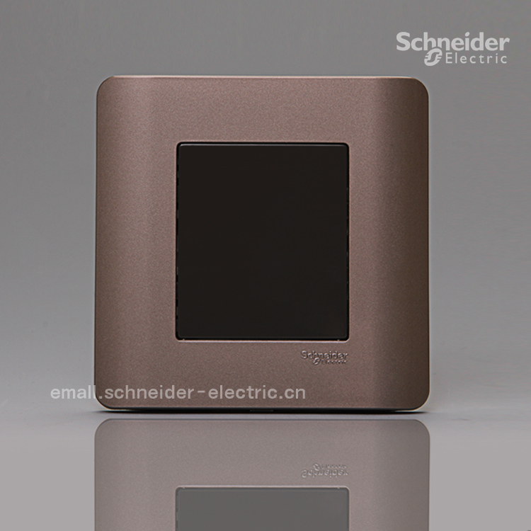 Schneider Qisheng E8000 (style brown) blank panel Mingxian (style brown)