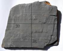 Ink-stone and ink-stone ink stone ink stone ink stone ink stone ink stone ink stone ink stone ink stone ink stone ink stone ink stone ink stone ink stone ink stone ink stone ink stone ink stone ink stone ink stone ink stone ink stone 5 stone