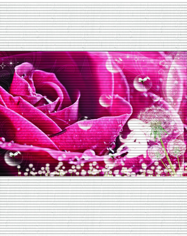 ������ҵ��þ���Ͻ�ֻ�������ӡд����������sg874