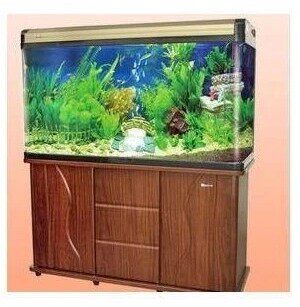 aquarium set price