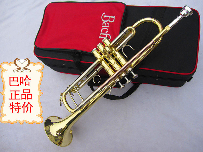 Baja Trumpet Specials