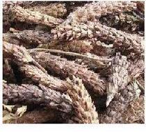 The audience Chinese herbal medicine Chinese herbal medicine Prunella vulgaris balls 500g