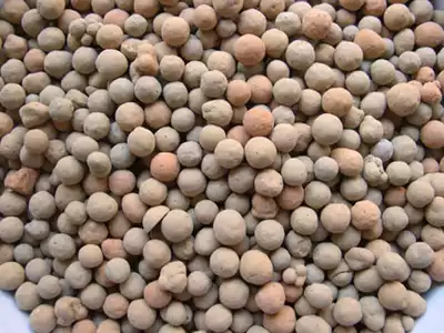 High quality clay ceramsite biological shale ceramsite filter material light heavy landscaping aerator hanging film