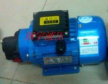 BRB-3JZ(120W 220V micro gear oil pump motor device triangular lubrication pump device