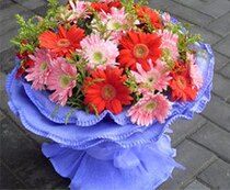 Blessing Flowers Sunflower City Flowers Shanghai Flower Express Help Lang Flower 18 Bouquet