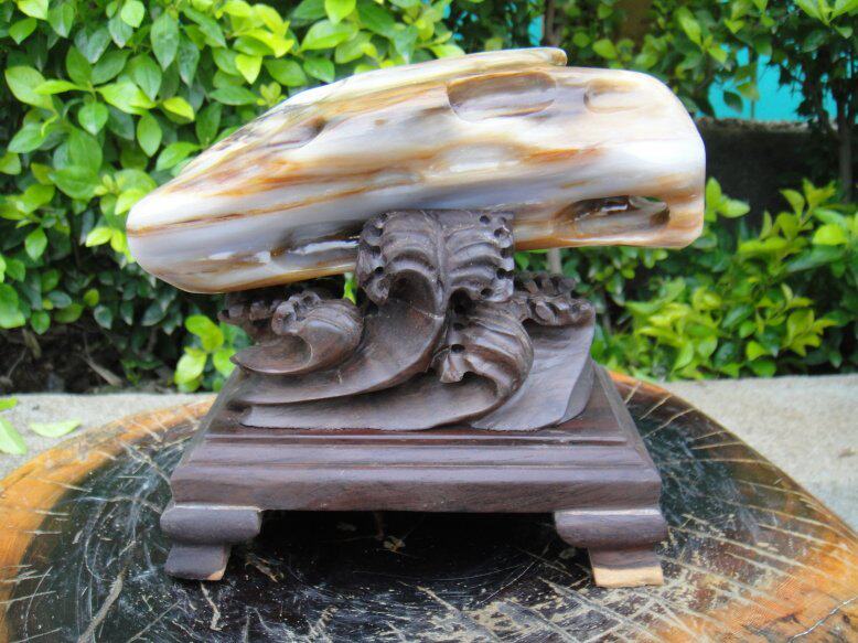 Money is rolling in Burmese woody yushu fossil ornaments Hands-on desk bedroom ice species 55# Shan Xi Qi Lang