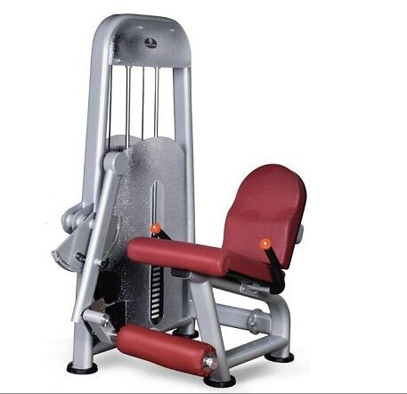 Seated Kick Trainer Kang Qiang BK-119 Leg Curl Extension Trainer Single Function Strength Trainer