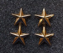 USA USA MINI II stars with the rank of a pair of 18K gilded (spot)