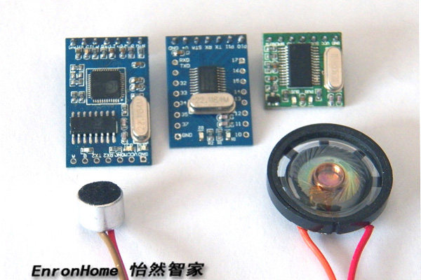 Voice interaction Three sets of experimental developable tickets such as smart home robot car