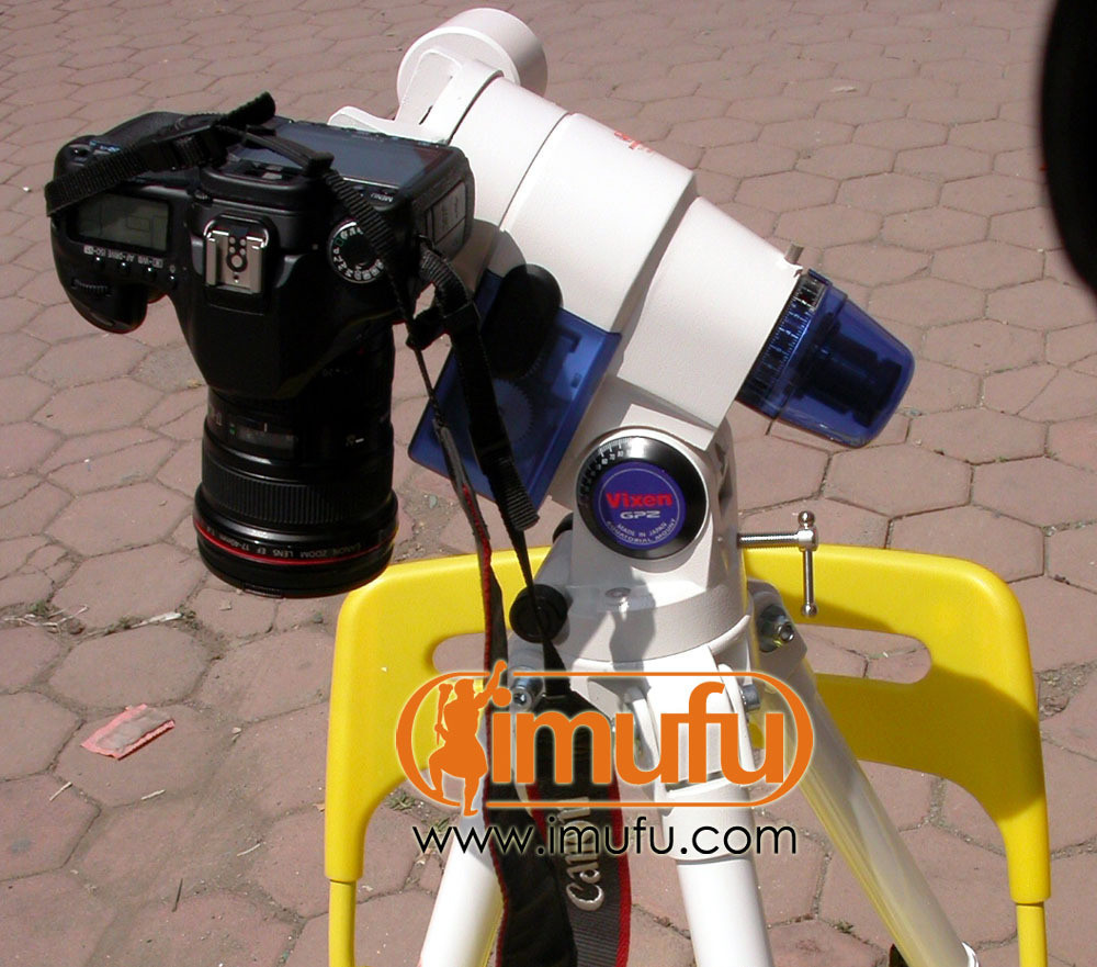 (Love Shepherd) Japan Original Prestige Stars Wild GP2 Equator (with electric heel spot)