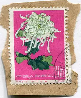 Special 44-16 Chrysanthemum Special Stamp 30 parts (cover the customs stamp)
