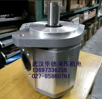 Hefei Saiyuan gear pump CBQ-G532 520 525 540 F550 563 573-AFP ALP AFH