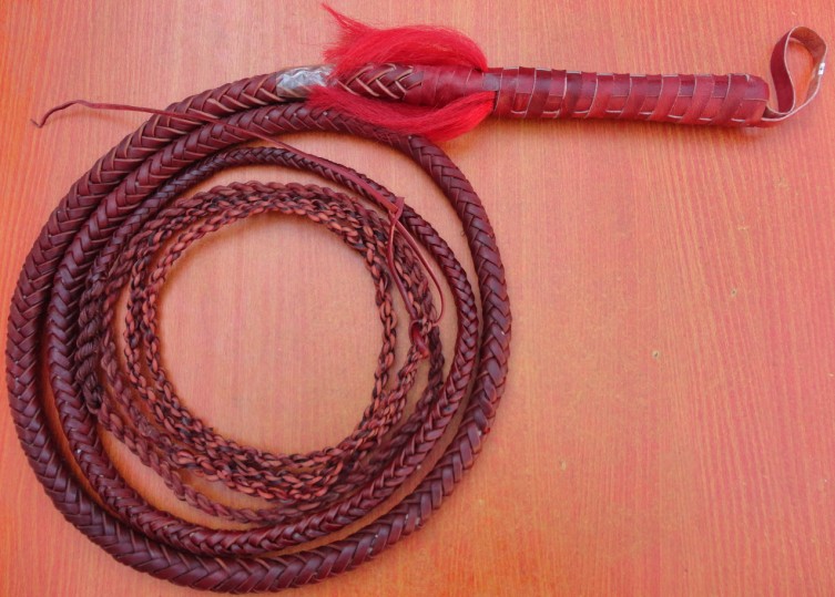 Loud whip lengthened steel wire five meters red fitness ratcheped martial arts whips and lashes