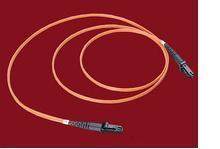 Internet Level MTRJ-MTRJ Multimode dual-core 3 m fiber jumper