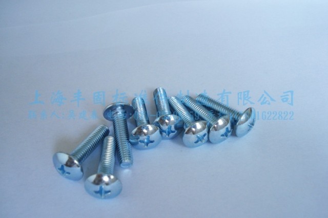 Galvanized large flat head screw large flat head machine screw large flat head screw 6*16