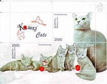 Belarus 2009 small full picture of cat new bag registered with no express