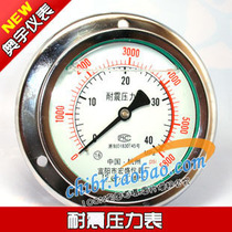 Axial Seismic Pressure Gauge YN100ZT(0-40MPA) YN-100ZT Axial Pressure Gauge Hydraulic Gauge