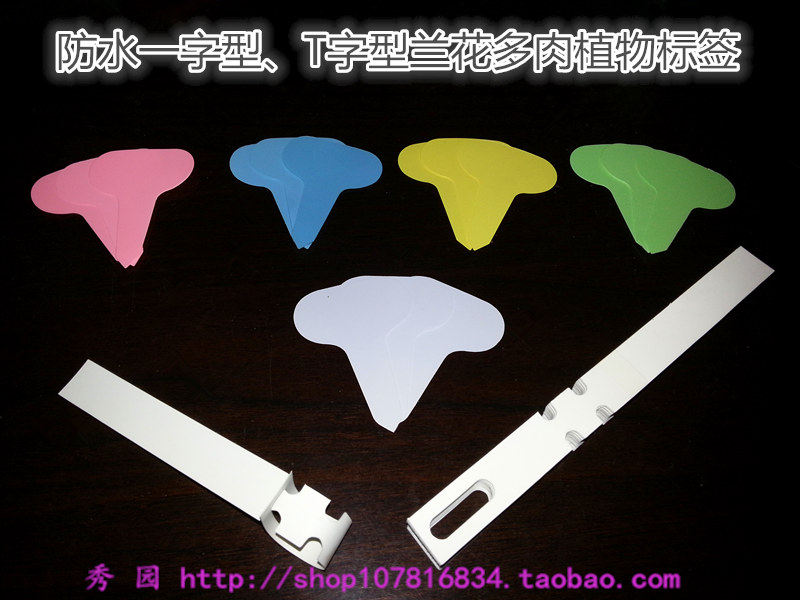 Delicate waterproof one-type T-shape-shaped orchid floral plant Peuchal label Orchid Multi-meat Special