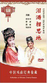 中国戏曲经典收藏 泪洒相思地（豫剧）DVD