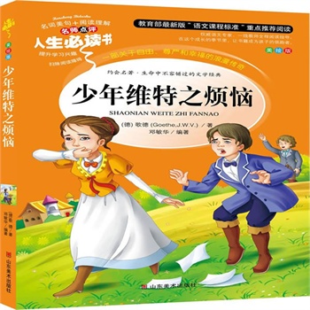 正版包邮促销少年维特的烦恼-名师点评人生必读书