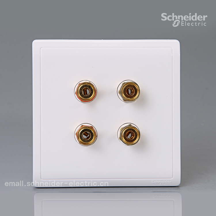 Schneider Fonchamps series empowers two quad-hole acoustic sockets (white)