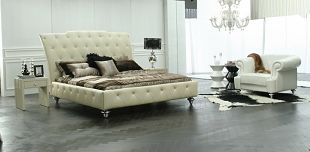 ��չŵ�Ƥ�մ�jlm309