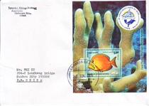 Cuba 2010 Sheetlet fish 1 in real time seal