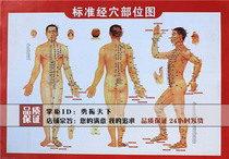 Golden Crown Moxibustion Human Meridians of Meridian Chart of Meridian Chart) epigraph with common cases Moxibustion Reference bifacial
