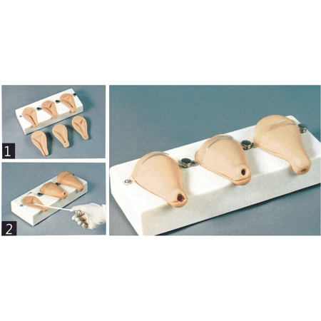 {厂家直销} 高级人工流产模拟子宫,妇产科训练模型