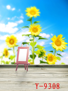 Children's background Children's hundred days background Photo studio furniture Photo studio props Children's clothing Background paper w-394