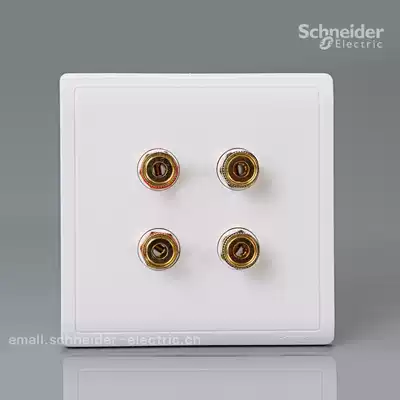 Schneider Pieno Fengshang (white) double speaker connector