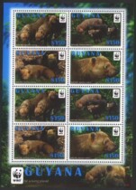  Grenada St Vincent 2011 Animal Panda Emblem Souvenir Sheet