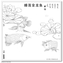The bottom draft of the artificial stroke-the sleeping lotus golden dragon fish