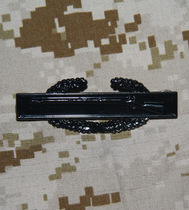 American Infantry Skills Chapter US ARMY American Infantry Chapter ACU