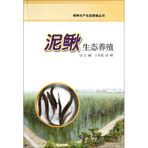 泥鳅生态养殖/特种水产生态养殖丛书 正版保证 王冬武//高峰 科技9787535777201