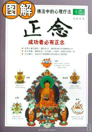 正版包邮-图解正念(成功者必有正念)