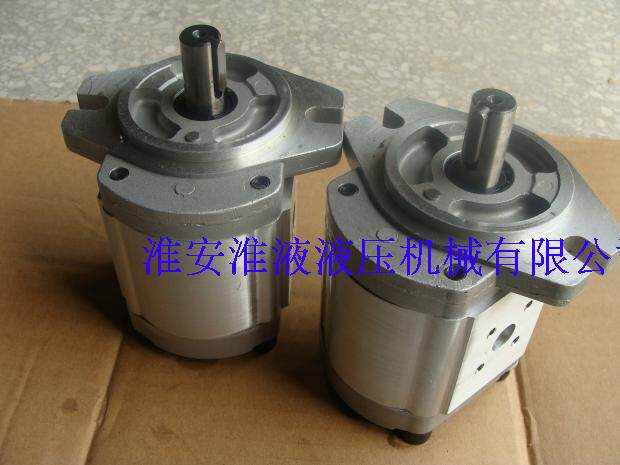 CBK1010-B1FR gear pump