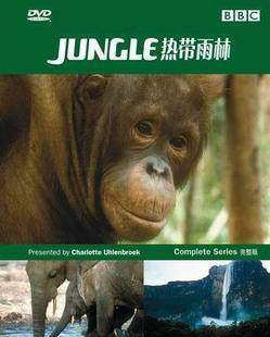正版现货 热带雨林 精装2DVD【BBC精彩记录片】