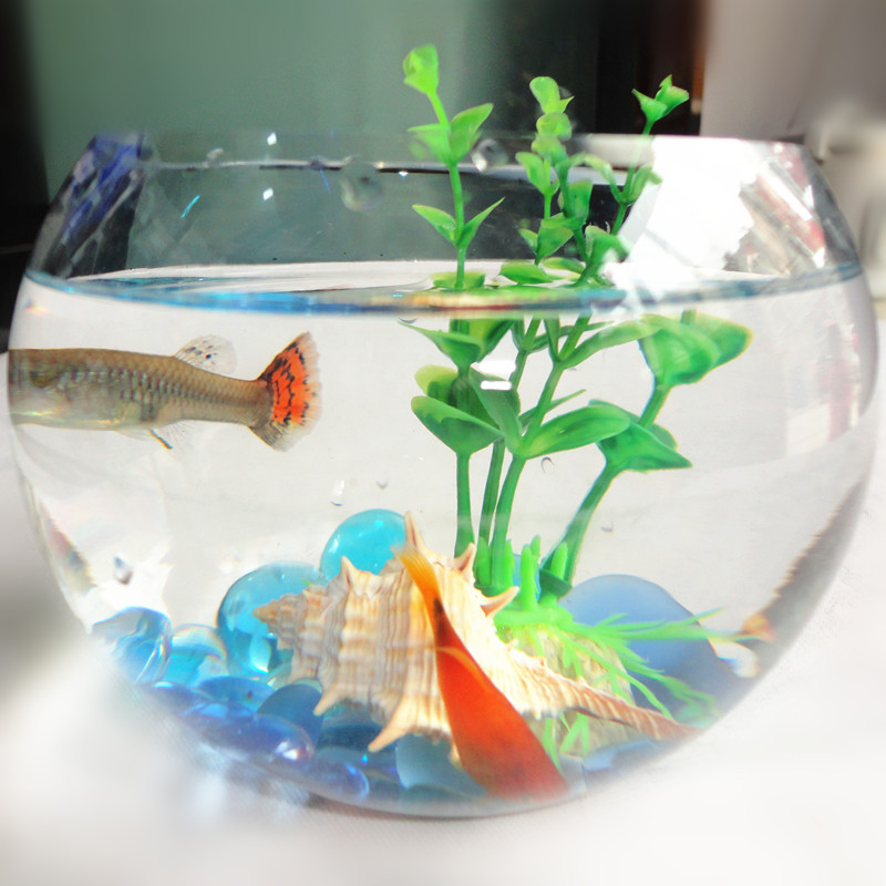 Thickened ultra-white mini spherical trumpet desktop glass small fish tank round small glass fish tank hydroponic