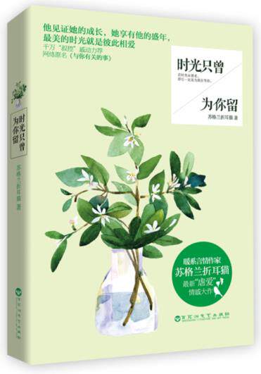 正版包邮时光只曾为你留（特价书 较旧  十年一品温如言 唯美动人的禁忌情感大作 此生都难以忘怀的时光就是彼此相爱 私享
