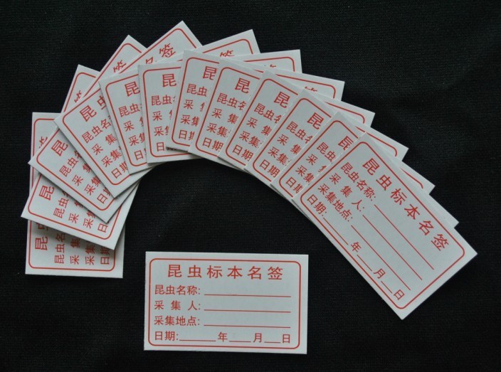 Factory shop] Insect Specimen Label (50 sheets) can be customized to be invoiced as requested by the customer 