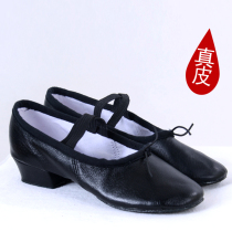 Genuine Leather teacher chaussures Sprout Dancing Shoes with Soft Bottom Shoe Gymnastics Shoes Lady Dance Shoes