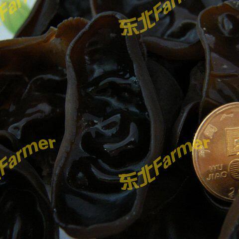 Northeast Farmer Jilin Laoye Ling Pure Wild Black Fungus Autumn Agaric High Level 500g Loaded New Goods