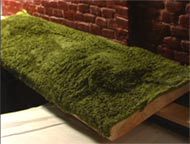 For Scene Making - Yellow-Green Grass Powder (Pressure-Resistant Type) For Scene Making - Yellow-Green Grass Powder (Pressure-Resistant Type)