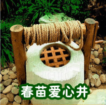 Chunmiao Love Well Plan