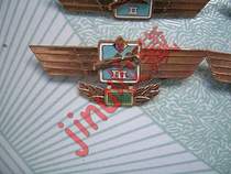 East Germany (GDR) Peoples Army Air Force Early Technical Chapter (with flight hours)