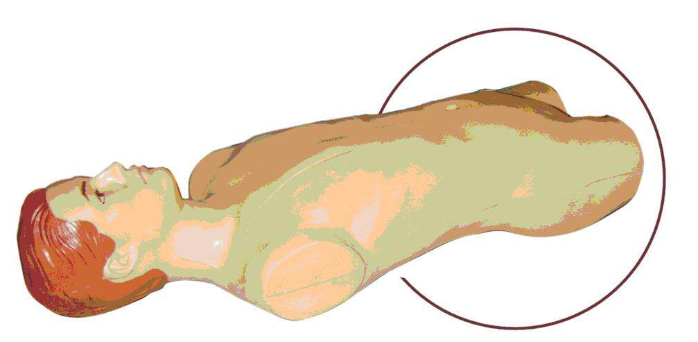 DF-QJC型 全功能静脉穿刺仿真标准化病人/穿刺训练模型