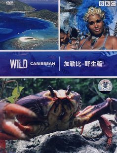 正版现货 加勒比野生篇 精装2DVD BBC狂野系列