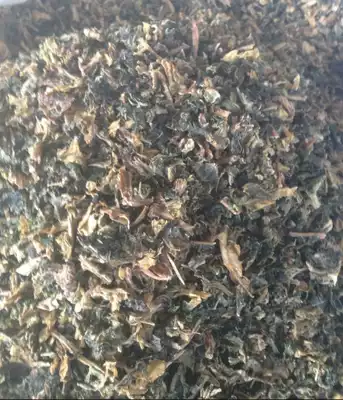 Wenzhou specialty Yongjia Nanxijiang local dried prunes Dried prunes Jiangsu, Zhejiang and Shanghai 2 kg new sun in 2021