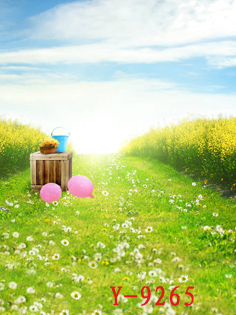 2017 new photo studio photography background new Korean theme wedding photography background children's background w-119